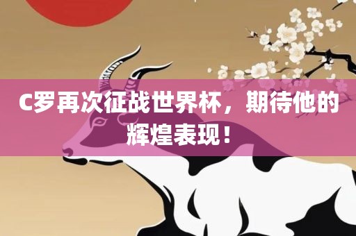 C罗再次征战世界杯，期待他的辉煌表漯河市盈旭机械设备有限公司现！