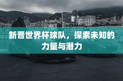 新晋世界杯球队，探索未知的力量与潜力