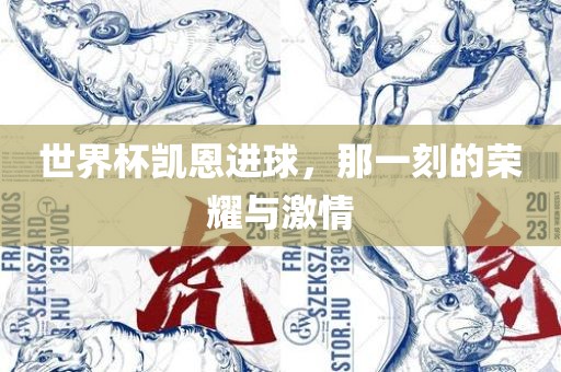 世界杯凯恩进球，那一刻的荣耀与激情