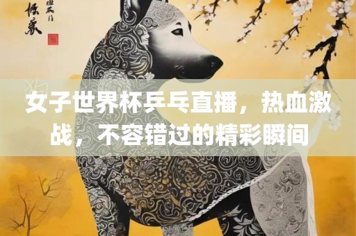 女子世界杯乒乓直播，热血激战，不容错过的精彩瞬间