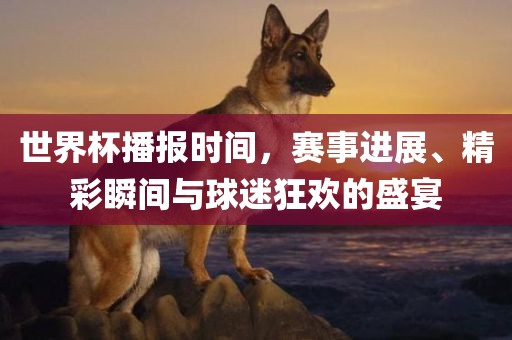 世界杯播报时间，赛事进展、精彩瞬间与球迷狂欢的盛宴
