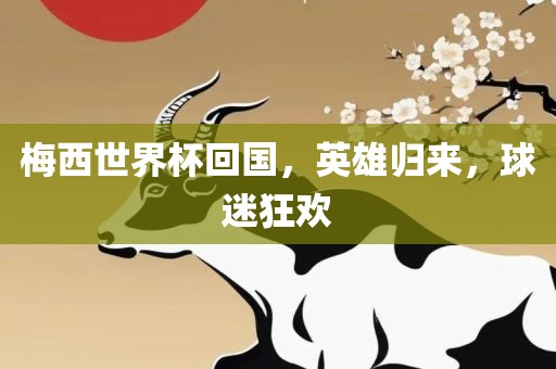 梅西世界杯回国，英雄归来，球迷狂欢
