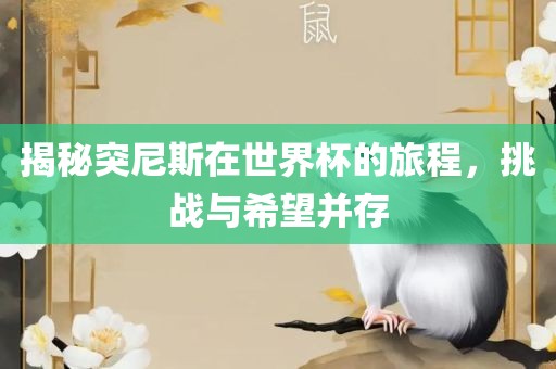 揭秘突尼斯在世界杯的旅程，挑战与希望并存
