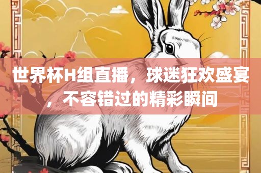 世界杯H组直播，球迷狂欢盛宴，不容错过的精彩瞬间