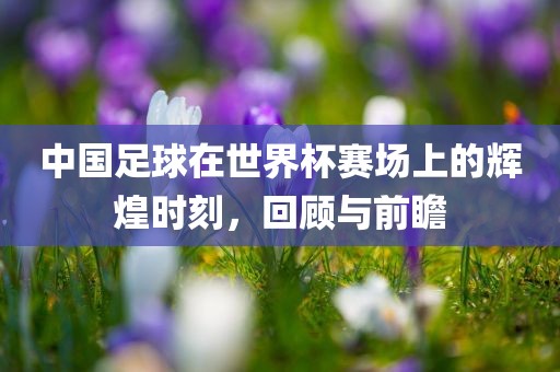 中国足球在世界杯赛场上的辉煌时刻，回顾与前瞻