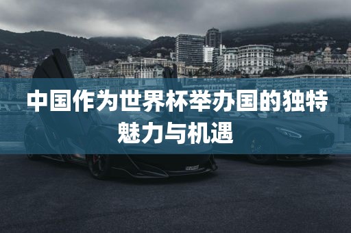 中国作为世界杯举办国的独特魅力与漯河市盈旭机械设备有限公司机遇