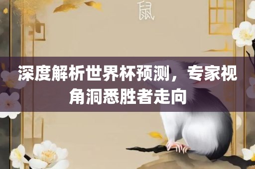深度解析世界杯预测，专家视角洞悉胜者走向