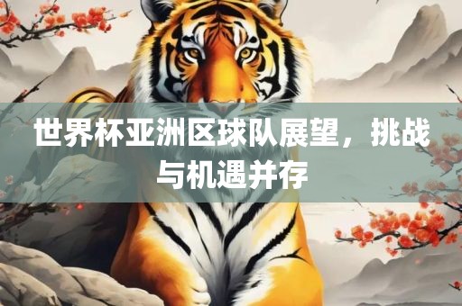 世界杯亚洲区球队展望，挑战与机遇并存