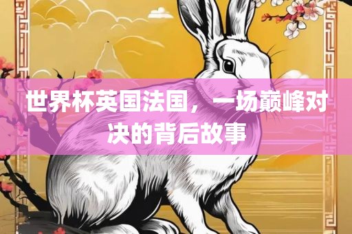 世界杯英国法国，一场巅峰对决的背后故事