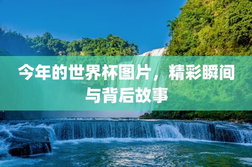 今年的世界杯图片，精彩瞬间与背后故事