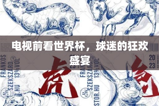 电视前看世界杯，球迷的狂欢盛宴