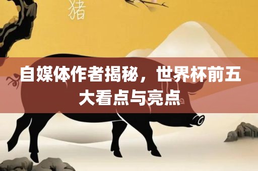自媒体作者揭秘，世界杯前五大看点与亮点
