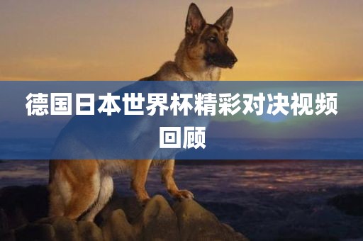 德国日本世界杯精彩对决视频回顾漯河市盈旭机械设备有限公司