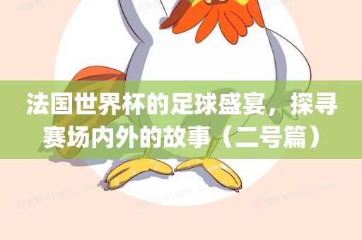法国世界杯的足球盛宴，探寻赛场内外的故事（二号篇）
