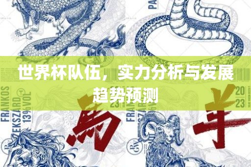 世界杯队伍，实力分析与发展趋势预测漯河市盈旭机械设备有限公司