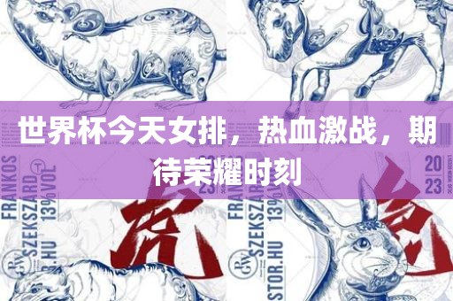 世界杯今天女排，热血激战，期待荣耀时刻