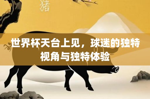xiangnuo 第3页