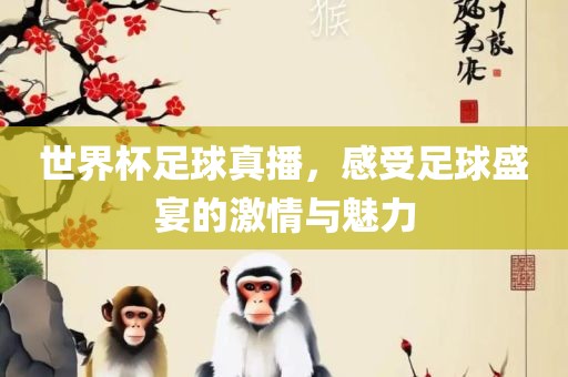 世界杯足球真播，感受足球盛宴的激情与魅力