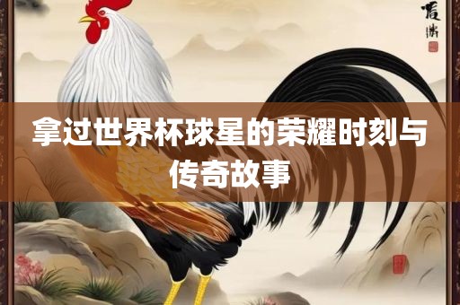 拿过世界杯球星的荣耀时刻与传奇故事