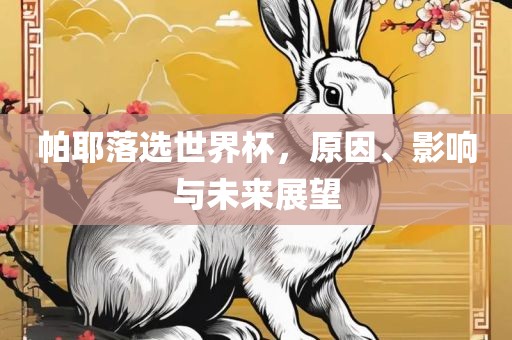 帕耶落选世界杯，原因、影响与未来展望