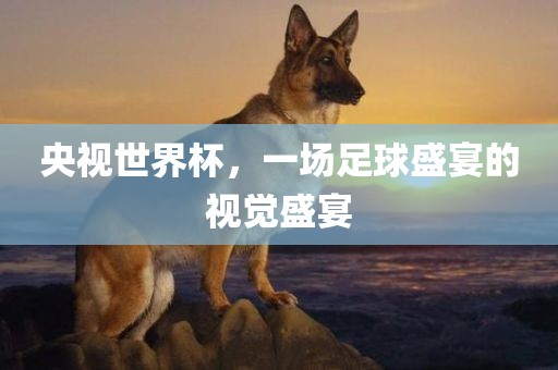 央视世界杯，一场足球盛宴的视觉盛漯河市盈旭机械设备有限公司宴