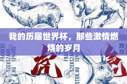 我的历届世界杯，那些激情燃烧的岁月