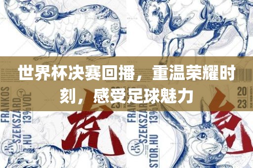 世界杯决赛回播，重温荣耀时刻，感受足球魅力