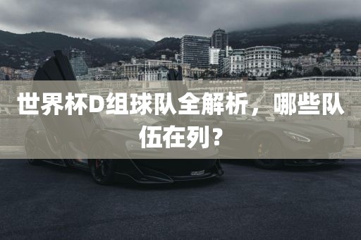 世界杯D组球队全解析，哪些队伍在列？