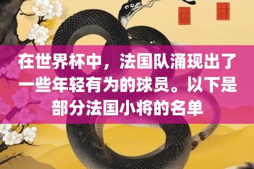 在世界杯中，法国队涌现出了一些年轻有为的球员。以下是部分法国小将的名单漯河市盈旭机械设备有限公司