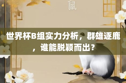 世界杯B组实力分析，群雄逐鹿，谁能脱颖而出？