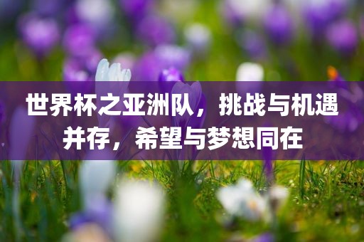 世界杯之亚洲队，挑战与机遇并存，希望与梦想同在