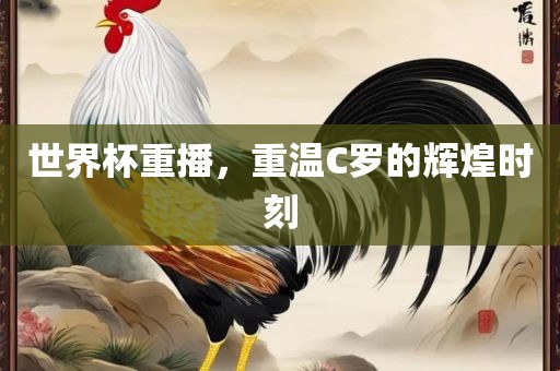 世界杯重播，重温C罗的辉煌时刻