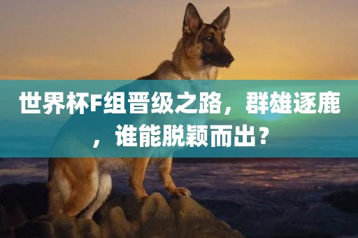 世界杯F组晋级之路，群雄逐鹿，谁能脱颖而出？