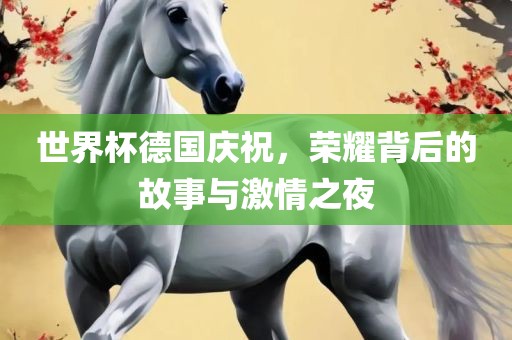 世界杯德国庆祝，荣耀背后的故事与激情之夜