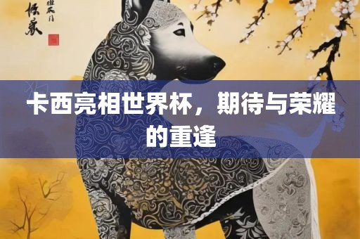 卡西亮相世界杯，期待与荣耀的重逢