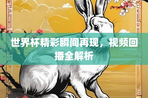 世界杯精彩瞬间再现，视频回播全解析