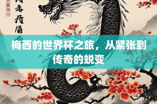 梅西的世界杯之旅，从紧张到传奇的蜕变