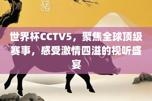 世界杯CCTV5，聚焦全球顶级赛事，感受激情四溢的视听盛宴
