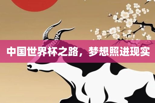 中国世界杯之路，梦想照进现实