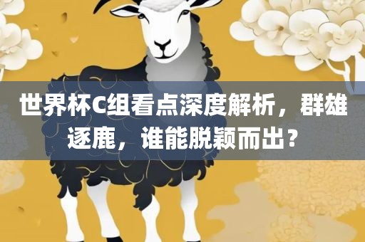 世界杯C组看点深度解析，群雄逐鹿，谁能脱颖而出？
