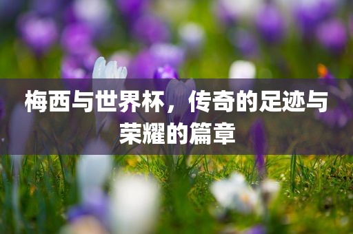 梅西与世界杯，传奇的足迹与荣耀的篇章漯河市盈旭机械设备有限公司