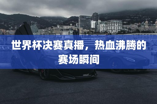 世界杯决赛真播，热血沸腾的赛场瞬间