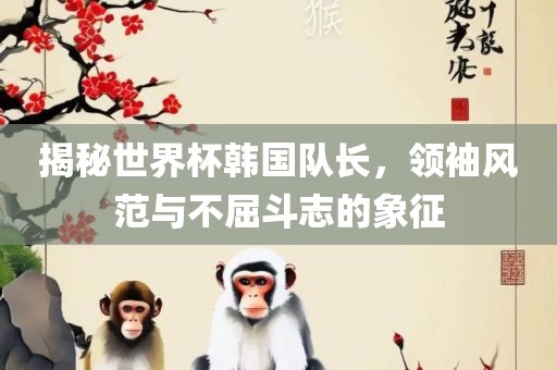 揭秘世界杯韩国队长，领袖风范与不屈斗志的象征漯河市盈旭机械设备有限公司