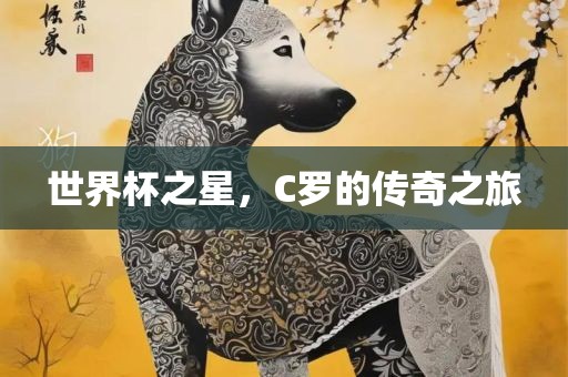 世界杯之星，C罗的传奇之旅