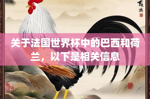 关于法国世界杯中的巴西和荷兰，以下是相关信息