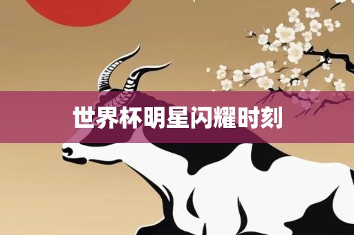 世界杯明星闪耀时刻漯河市盈旭机械设备有限公司