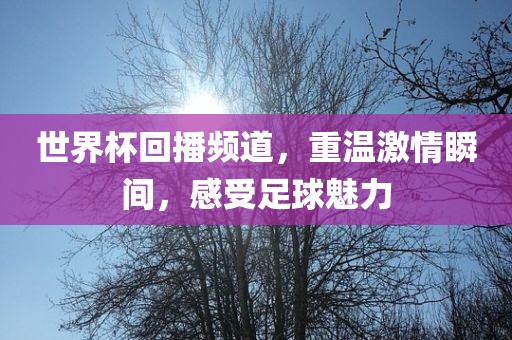 世界杯回播频道，重温激情瞬间，感受足球魅力