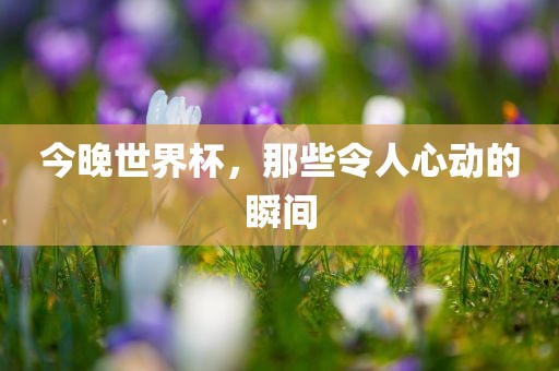 今晚世界杯，那些令人心动的瞬间