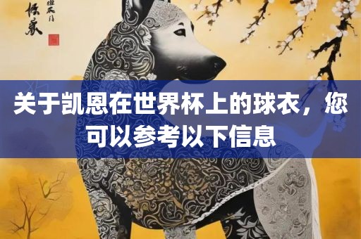 关于凯恩在世界杯上的球衣，您可以参考以下信息