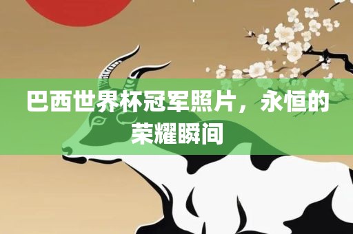 巴西世界杯冠军照片，永恒的荣耀瞬间漯河市盈旭机械设备有限公司